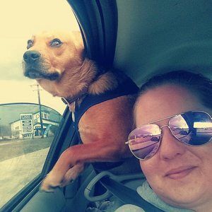 Meet your Posher, Elisha